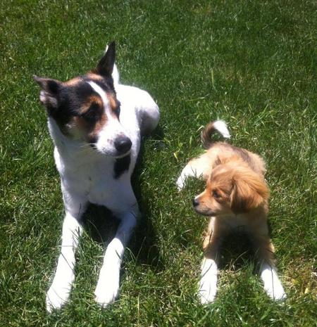 Freeway Sophia & Lulu Jane Pruyne