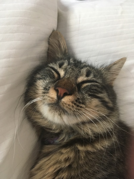 Luna
