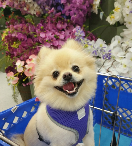 Chloe
