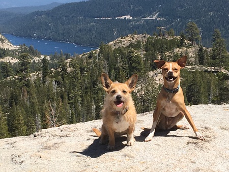 Abby and Lola 