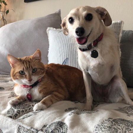 Buckaroo and Sunny