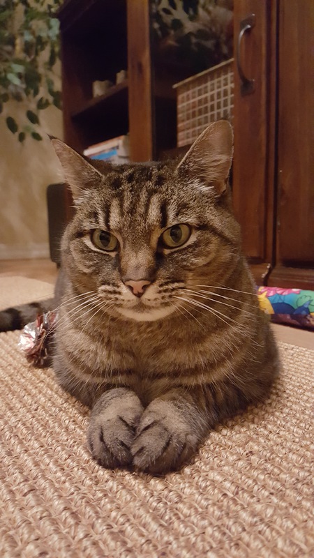 Chloe