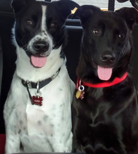 Clark and Chuck