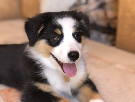 Ellie 