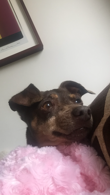 Samantha 