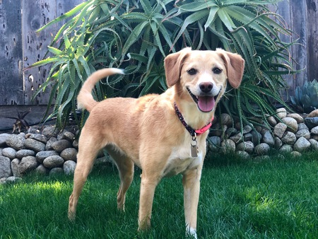 Zoe 
