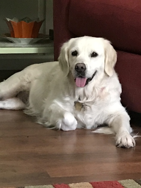 Fallon (Fiona) 