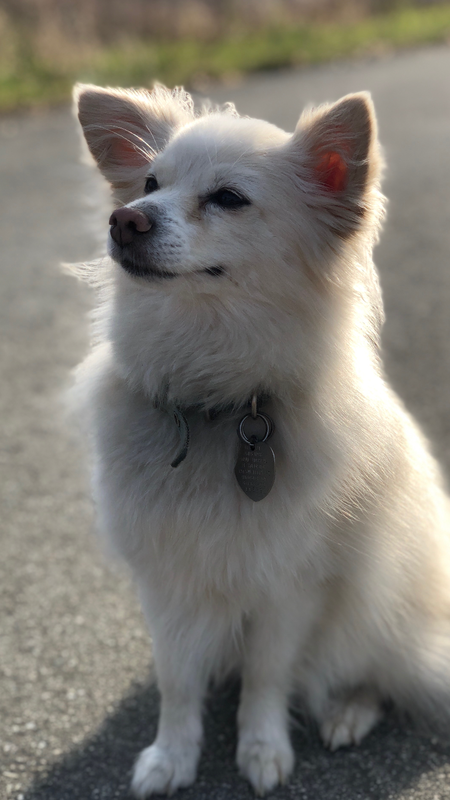 Ninny