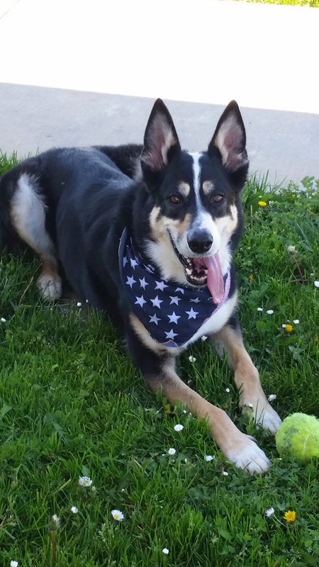 Luna