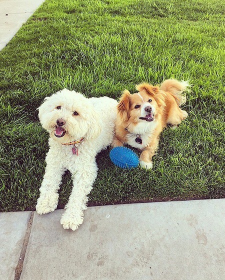 Penny + Peewee