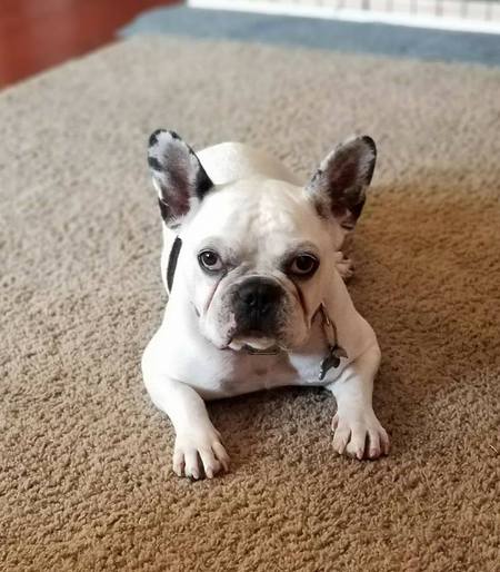 Barry