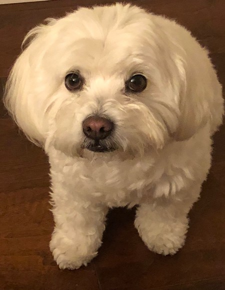 Murphy
