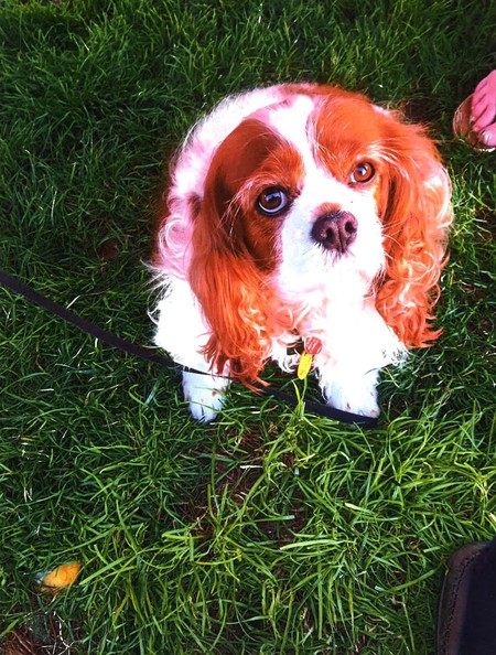 Maggie