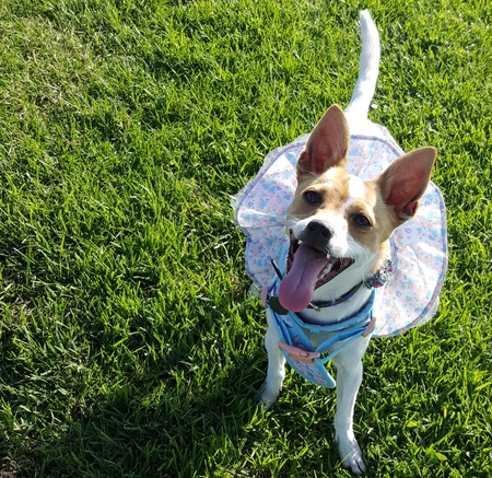 Minnie Winnie