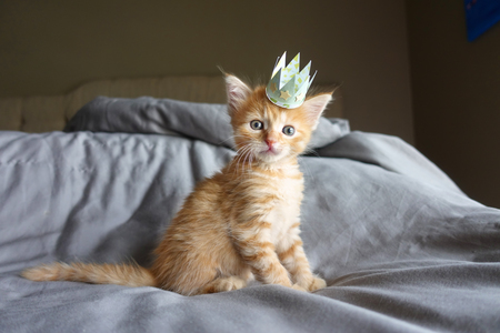 Baby Andy