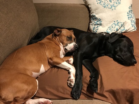 P-P-P-Penny and the Jett