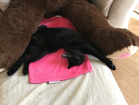 Belle "Baby Girl"