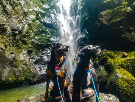 Kai and Monroe