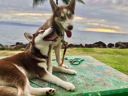 Hunter and Bella