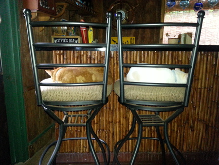 Lani and Bula at Bar