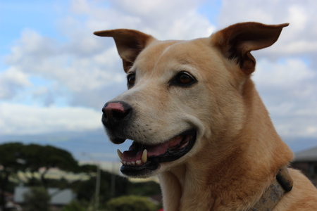 Max