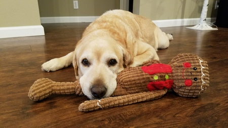 Max