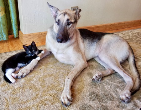 Kahu & Penelope