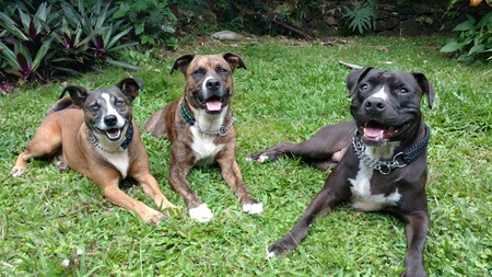 Caspian, Ke Akūa and Mano