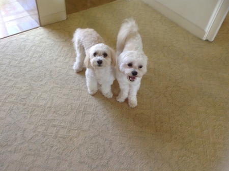 Max and Riley