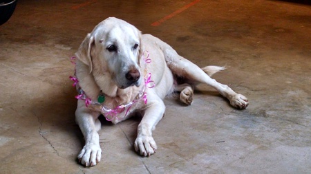 Samantha