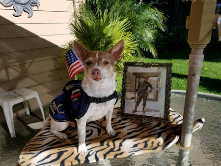 Sammy