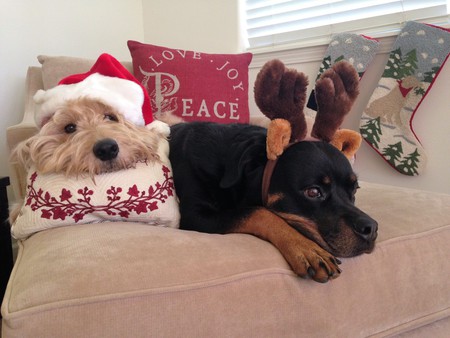 Cody & Ruby