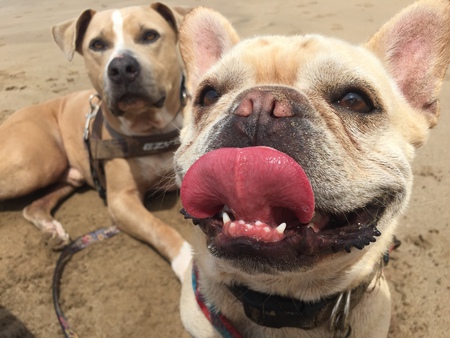 Franklin and Pana