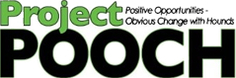 Logo for Project POOCH Year of the Dog Contest Part 3: St. Patrick's Day Dogs!