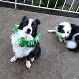 Entry image for Bucky & Squirt