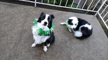 Entry image for Bucky & Squirt. Clicking this image will show a larger photo