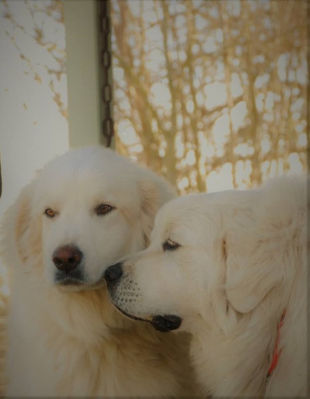 Maverick and Gilley