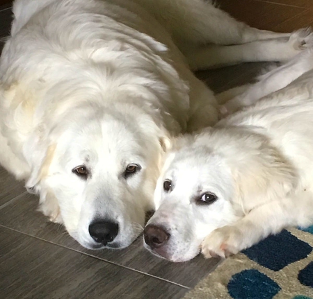 Bianca & Wrigley 