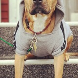 Entry image for Maggie May