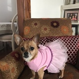 Entry image for Baby Girl