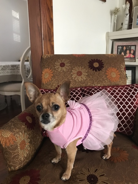 Entry image for Baby Girl. Clicking this image will show a larger photo