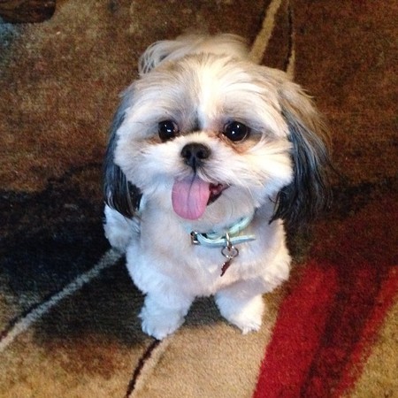 Elsie Mae