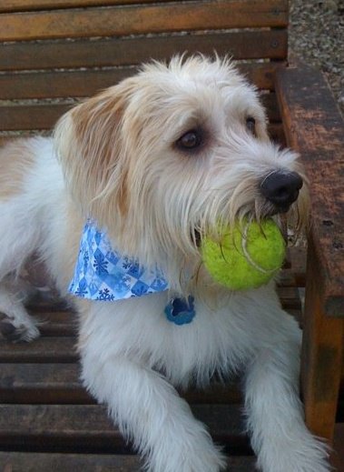 Diego
