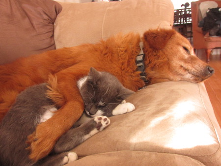 Jinjer and Sparkles Fortenberry