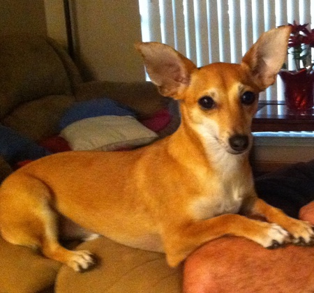 Paco