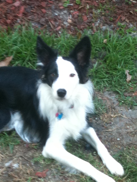 Max