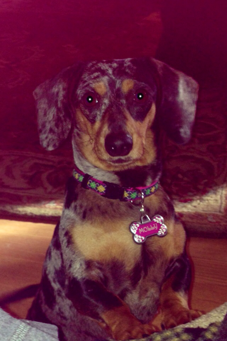 Molly
