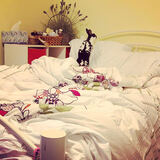 Entry image for Diana Sophia