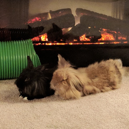 Entry image for Geronimo & Aluna. Clicking this image will show a larger photo