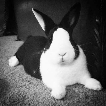 Entry image for Hans. Clicking this image will show a larger photo